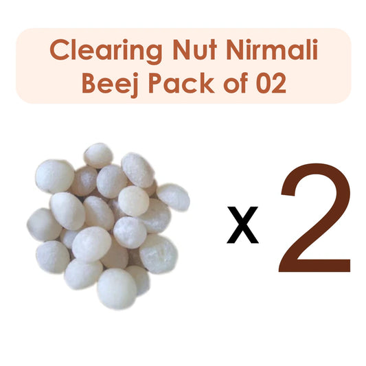 Clearing Nut | Chilla Ginjalu | Nirmali Beej (Raw Substance)