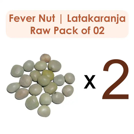 Fever Nut | Latakaranja Beej | Gachha Kayalu (Raw Substance) Pack of 2