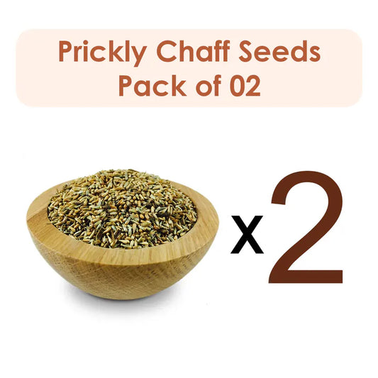 Prickly Chaff Seeds/Apamarg beej/Uttareni Ginjalu 100G (Raw Substance) Pack of 2