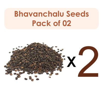 Babchi | Bakuchi | Bhavanchalu Seeds (Raw Substance)