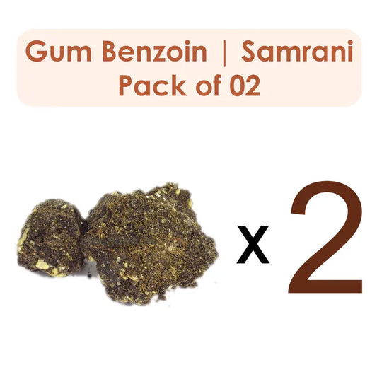 Gum Benzoin | Samrani 100G (Raw Substance) Pack of 2