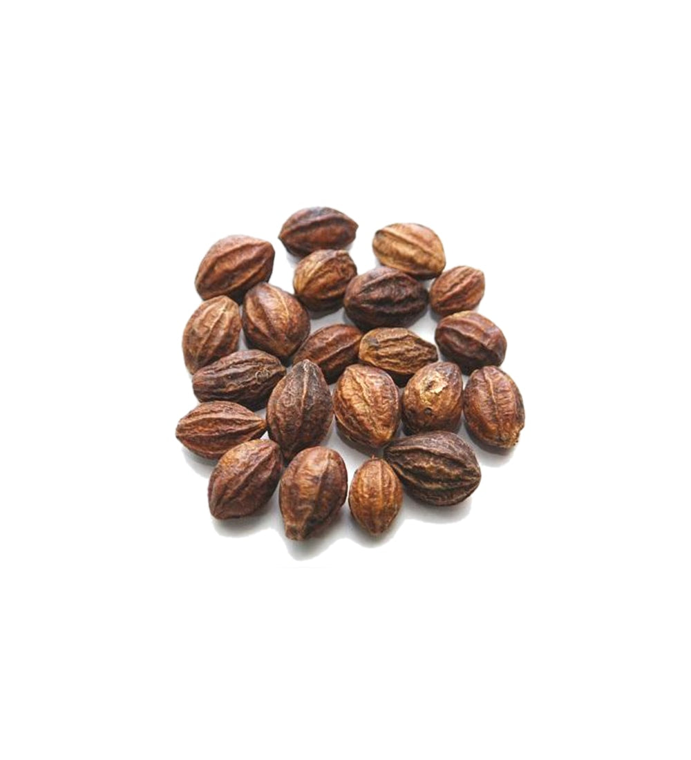 Haritaki | Inknut/Harad/Karakkaya (Raw Substance)