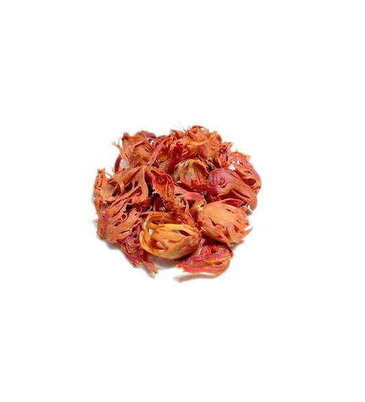 Mace Spice/Japatri/Javitri 25G (Raw Substance)