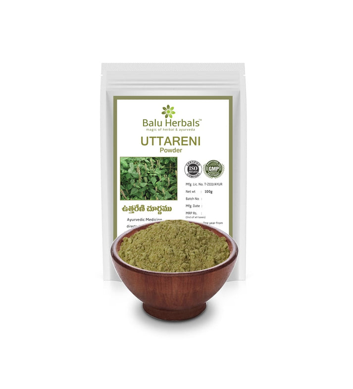 Prickly Chaff | Apamarg | Uttareni Powder – BALU HERBALS