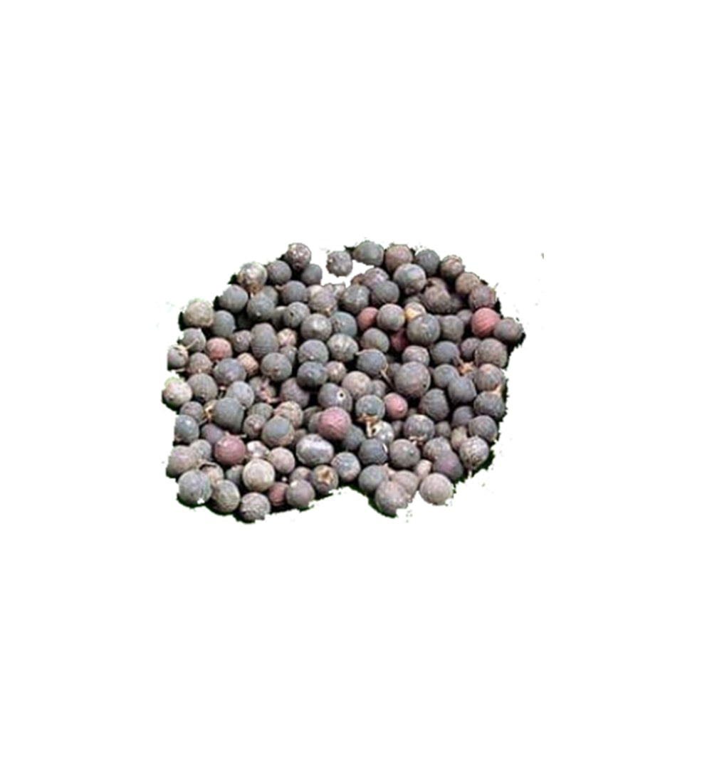 False Black Pepper | Vayuvidanga | Vidang 50G (Raw Substance)